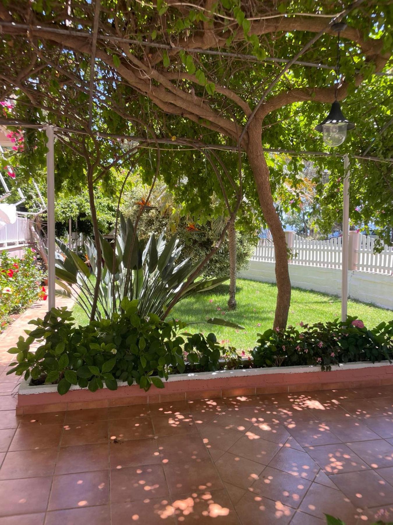 Buganvillas Studios Prévéza Extérieur photo